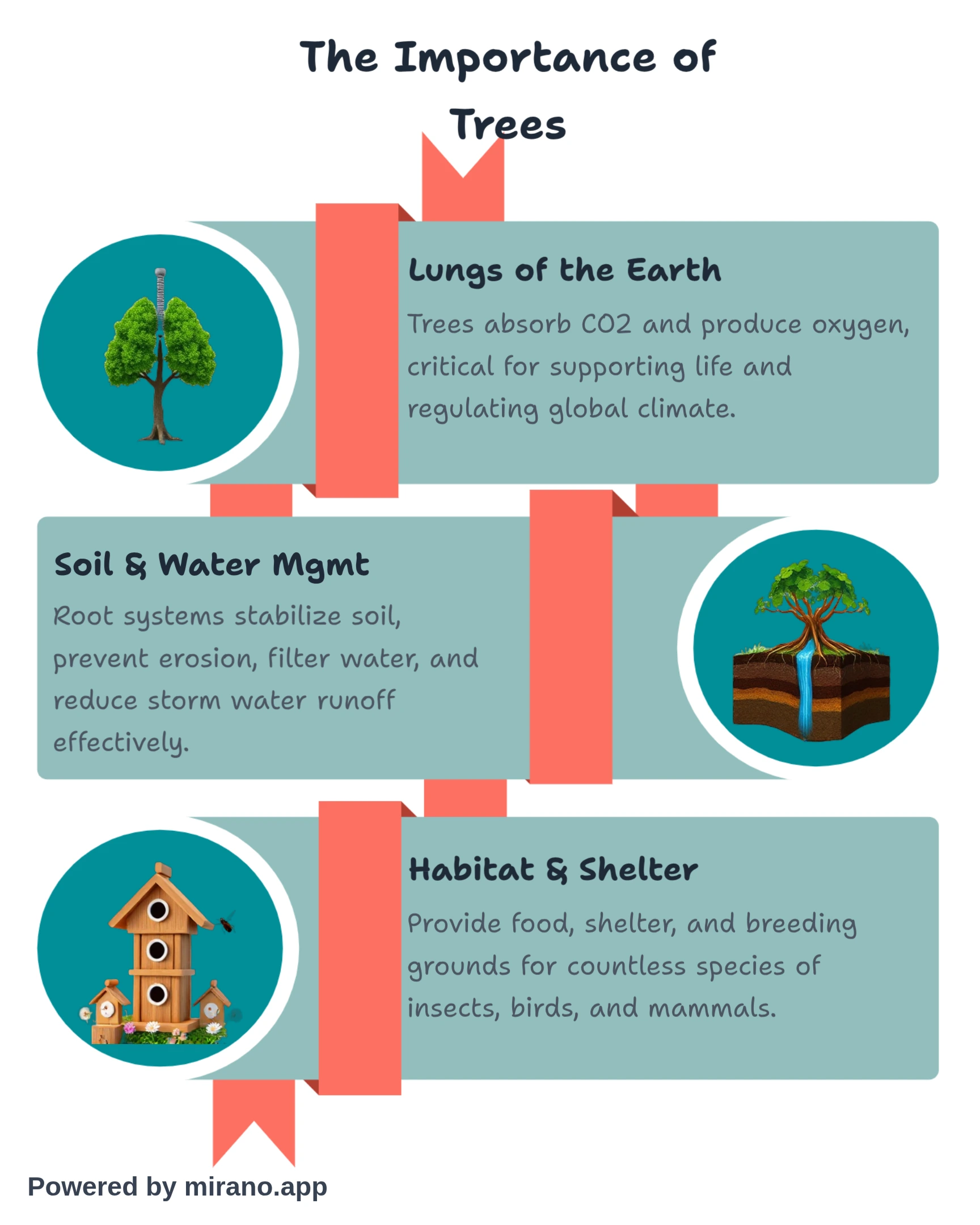 Informational infographic with educational content about importance of trees